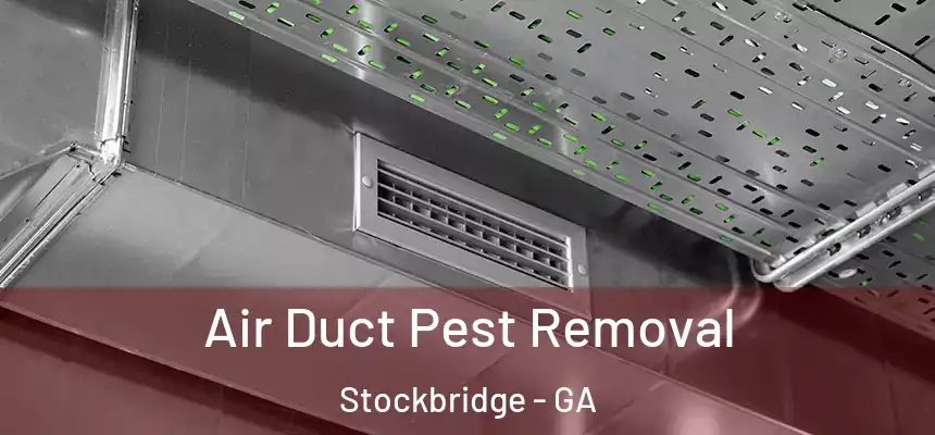  Air Duct Pest Removal Stockbridge - GA