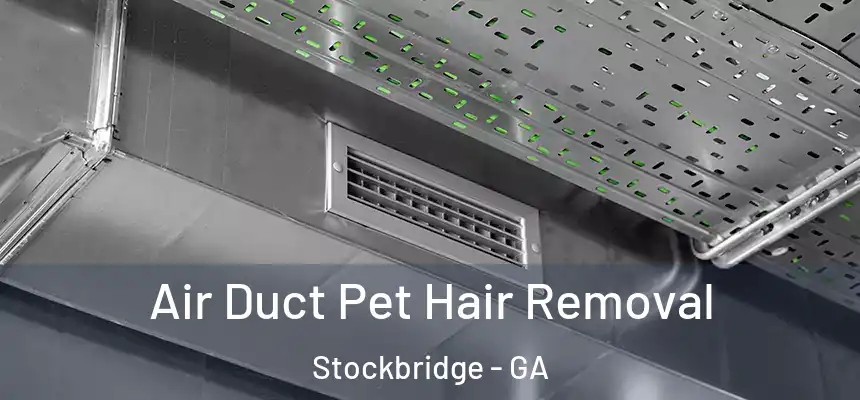  Air Duct Pet Hair Removal Stockbridge - GA