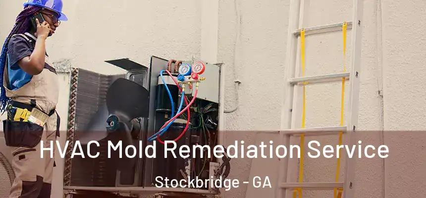  HVAC Mold Remediation Service Stockbridge - GA