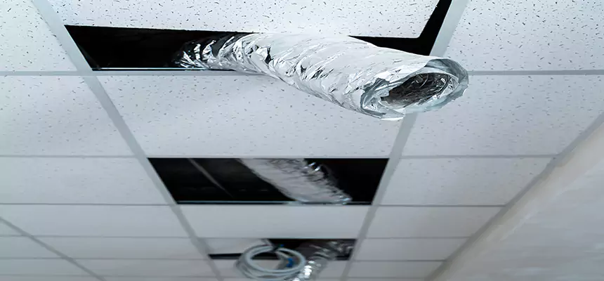 Affordable HVAC Sanitizing After Pest Removal in Stockbridge