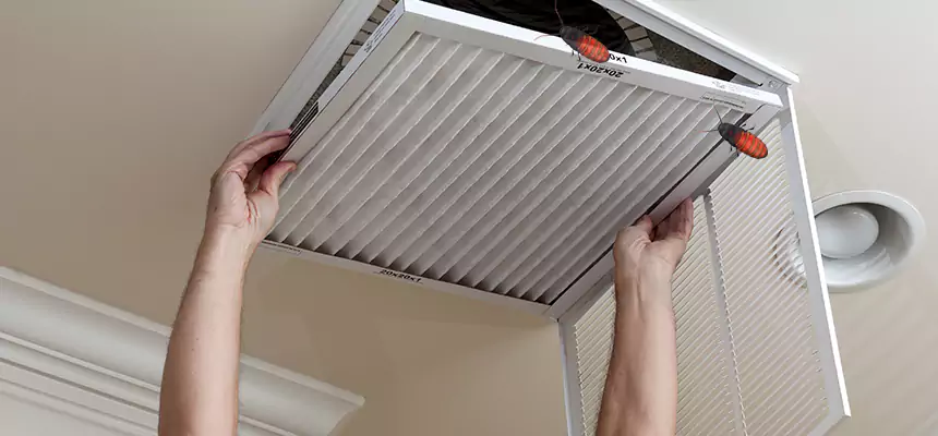 Our Insect Removal from Air Ducts Services in Stockbridge, GA