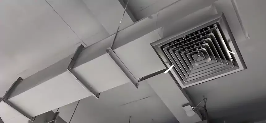 Our Pest Removal From Ducts Services in Stockbridge, GA