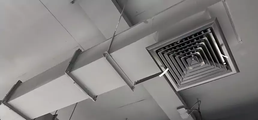 Our Rodent Droppings In Vents Services in Stockbridge, GA