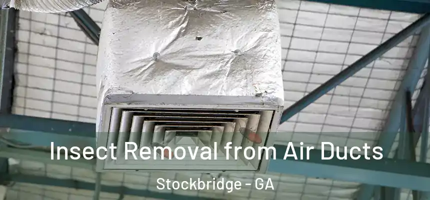  Insect Removal from Air Ducts Stockbridge - GA