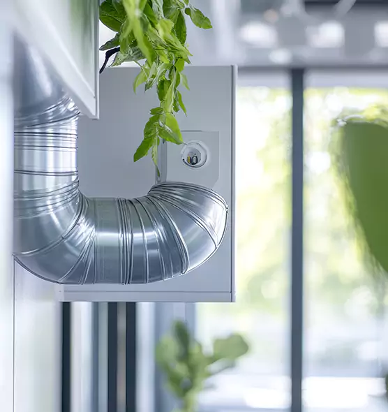 Professional Eco-Safe Dryer Vent Cleaning in Stockbridge, GA