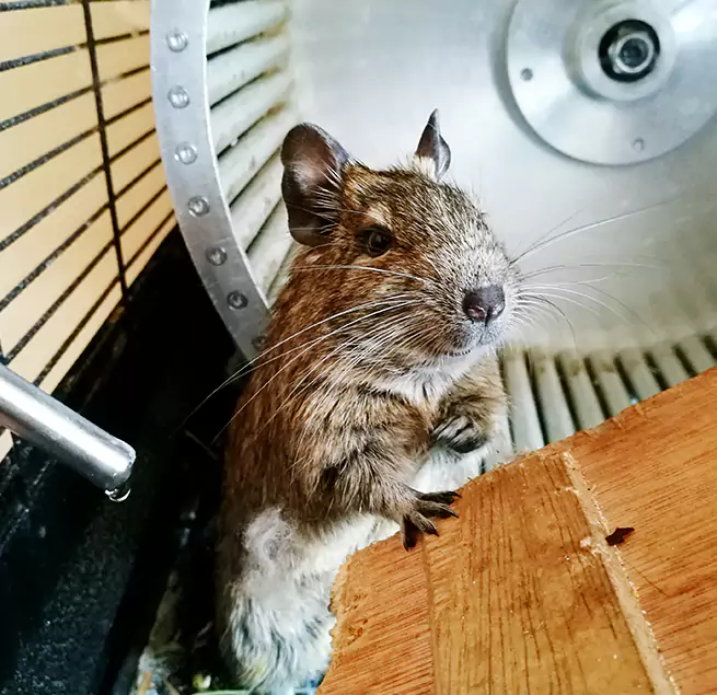 Why Homeowners & Businesses Trust Us Stockbridge, GA?