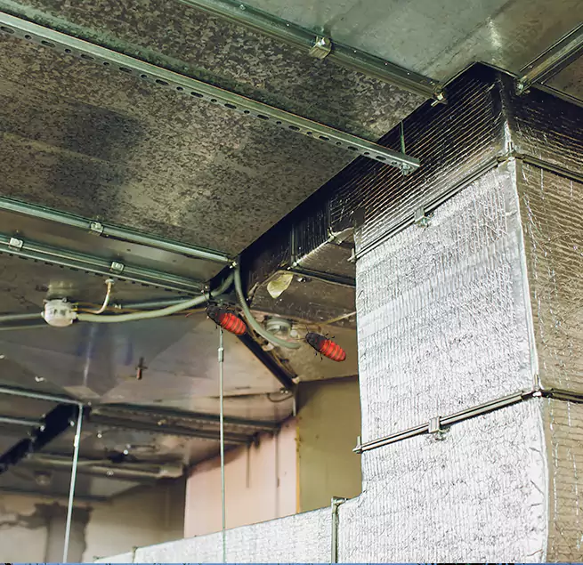 Why Homeowners & Businesses Trust Us Stockbridge, GA?